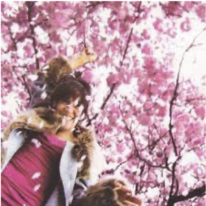 Screenshot 2022-09-12 at 15.45.46